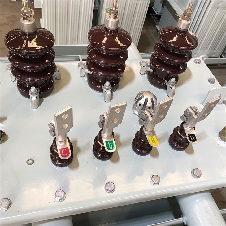 100 KVA Pole Mounted Transformer